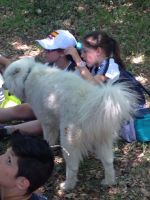 Nome de arquivo=IMG-20140618-WA0067.jpg
Tamaño de arquivo=84KB
Dimensións=600x800
Data de engadido=20 de Xuñ do 2014 IMG-20140618-WA0067.jpg