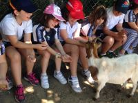 Nome de arquivo=IMG-20140618-WA0070.jpg
Tamaño de arquivo=96KB
Dimensións=800x600
Data de engadido=20 de Xuñ do 2014 IMG-20140618-WA0070.jpg