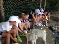 Nome de arquivo=IMG-20140618-WA0073.jpg
Tamaño de arquivo=103KB
Dimensións=800x600
Data de engadido=20 de Xuñ do 2014 IMG-20140618-WA0073.jpg