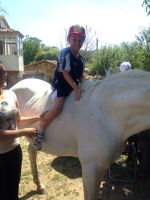 Nome de arquivo=IMG-20140618-WA0075.jpg
Tamaño de arquivo=74KB
Dimensións=600x800
Data de engadido=20 de Xuñ do 2014 IMG-20140618-WA0075.jpg