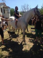 Nome de arquivo=IMG-20140618-WA0077.jpg
Tamaño de arquivo=89KB
Dimensións=600x800
Data de engadido=20 de Xuñ do 2014 IMG-20140618-WA0077.jpg