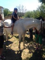 Nome de arquivo=IMG-20140618-WA0079.jpg
Tamaño de arquivo=93KB
Dimensións=600x800
Data de engadido=20 de Xuñ do 2014 IMG-20140618-WA0079.jpg