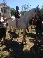 Nome de arquivo=IMG-20140618-WA0080.jpg
Tamaño de arquivo=88KB
Dimensións=600x800
Data de engadido=20 de Xuñ do 2014 IMG-20140618-WA0080.jpg