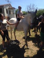 Nome de arquivo=IMG-20140618-WA0094.jpg
Tamaño de arquivo=90KB
Dimensións=600x800
Data de engadido=20 de Xuñ do 2014 IMG-20140618-WA0094.jpg