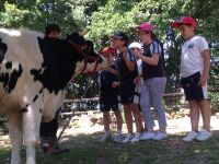 Nome de arquivo=IMG-20140618-WA0101.jpg
Tamaño de arquivo=121KB
Dimensións=800x600
Data de engadido=20 de Xuñ do 2014 IMG-20140618-WA0101.jpg