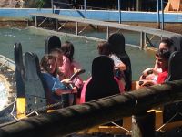 Nome de arquivo=IMG-20150524-WA0070.jpg
Tamaño de arquivo=252KB
Dimensións=1280x960
Data de engadido=25 de Mai do 2015 IMG-20150524-WA0070.jpg