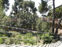 Nome de arquivo=P1000795_redimensionar.JPG
Tamaño de arquivo=448KB
Dimensións=1024x768
Data de engadido=21 de Mai do 2013 P1000795_redimensionar.JPG