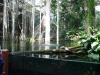 Nome de arquivo=P1000825_redimensionar.JPG
Tamaño de arquivo=276KB
Dimensións=1024x768
Data de engadido=21 de Mai do 2013 P1000825_redimensionar.JPG