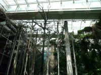 Nome de arquivo=P1000826_redimensionar.JPG
Tamaño de arquivo=331KB
Dimensións=1024x768
Data de engadido=21 de Mai do 2013 P1000826_redimensionar.JPG