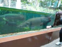 Nome de arquivo=P1000828_redimensionar.JPG
Tamaño de arquivo=246KB
Dimensións=1024x768
Data de engadido=21 de Mai do 2013 P1000828_redimensionar.JPG