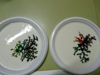 Nome de arquivo=P1270784.JPG
Tamaño de arquivo=179KB
Dimensións=1024x768
Data de engadido=19 de Nov do 2014 P1270784.JPG