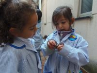 Nome de arquivo=PB220949_redimensionar.JPG
Tamaño de arquivo=295KB
Dimensións=1024x768
Data de engadido=27 de Nov do 2013 PB220949_redimensionar.JPG