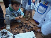 Nome de arquivo=PB220952_redimensionar.JPG
Tamaño de arquivo=336KB
Dimensións=1024x768
Data de engadido=27 de Nov do 2013 PB220952_redimensionar.JPG