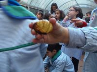 Nome de arquivo=PB220960_redimensionar.JPG
Tamaño de arquivo=258KB
Dimensións=1024x768
Data de engadido=27 de Nov do 2013 PB220960_redimensionar.JPG