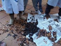 Nome de arquivo=PB220964_redimensionar.JPG
Tamaño de arquivo=321KB
Dimensións=1024x768
Data de engadido=27 de Nov do 2013 PB220964_redimensionar.JPG