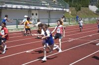 Nome de arquivo=_MG_2961.JPG
Tamaño de arquivo=164KB
Dimensións=800x533
Data de engadido=04 de Xuñ do 2009 _MG_2961.JPG