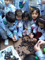 Nome de arquivo=unnamed_(2).jpg
Tamaño de arquivo=32KB
Dimensións=357x476
Data de engadido=27 de Nov do 2013 unnamed_(2).jpg