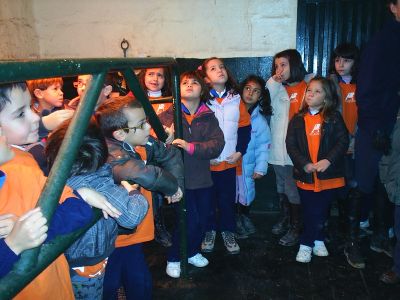 Preme para ver a foto ampliada