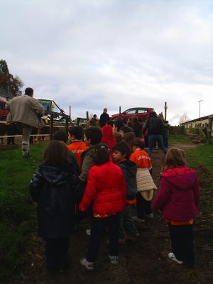 Preme para ver a foto ampliada