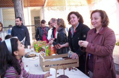 Preme para ver a foto ampliada