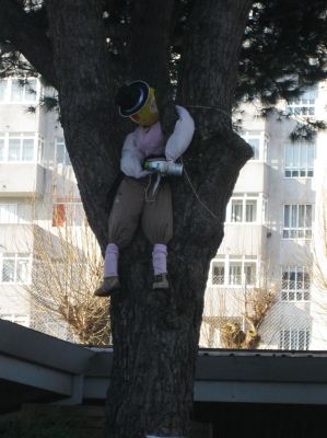 Preme para ver a foto ampliada