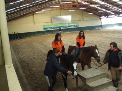 Preme para ver a foto ampliada