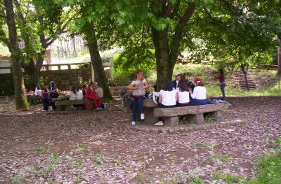 Preme para ver a foto ampliada