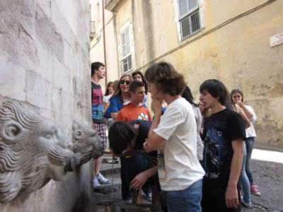 Preme para ver a foto ampliada