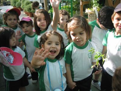 Preme para ver a foto ampliada