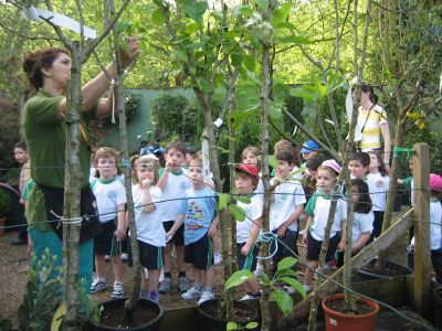 Preme para ver a foto ampliada