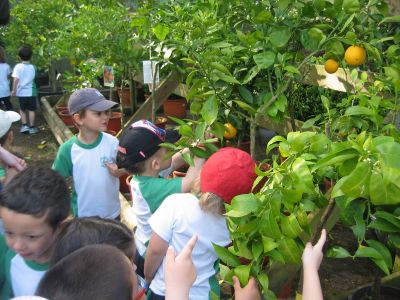 Preme para ver a foto ampliada