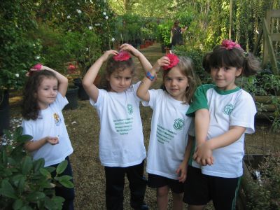 Preme para ver a foto ampliada