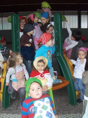 Preme para ver a foto ampliada