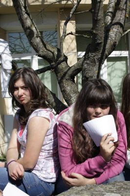 Preme para ver a foto ampliada