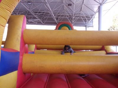 Preme para ver a foto ampliada