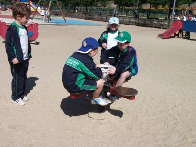 Preme para ver a foto ampliada