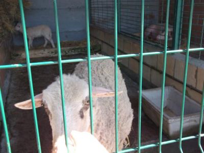 Preme para ver a foto ampliada