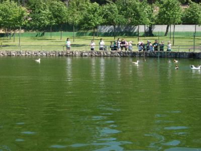 Preme para ver a foto ampliada