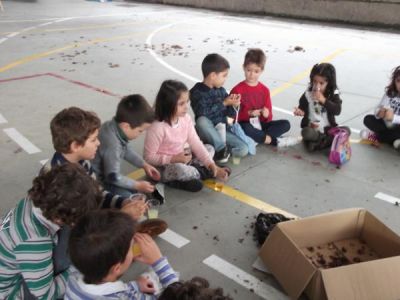 Preme para ver a foto ampliada