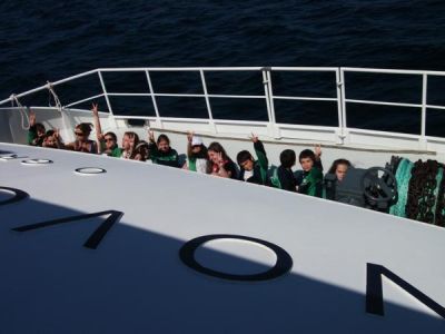 Preme para ver a foto ampliada