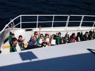 Preme para ver a foto ampliada