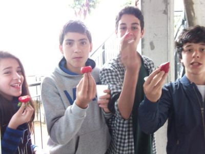 Preme para ver a foto ampliada