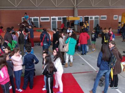 Preme para ver a foto ampliada