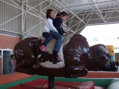 Preme para ver a foto ampliada