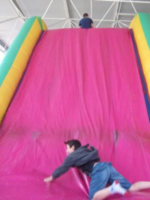 Preme para ver a foto ampliada