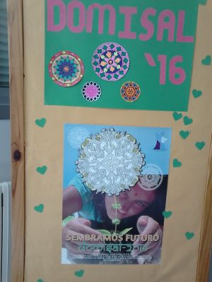 Preme para ver a foto ampliada