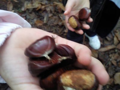 Preme para ver a foto ampliada