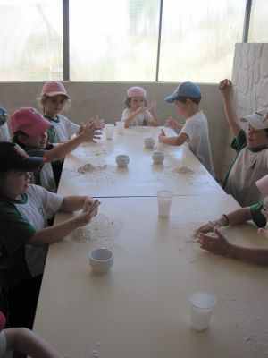 Preme para ver a foto ampliada