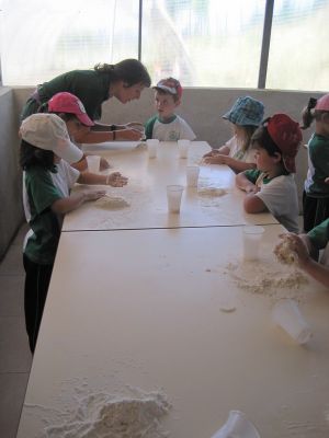 Preme para ver a foto ampliada