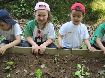 Preme para ver a foto ampliada